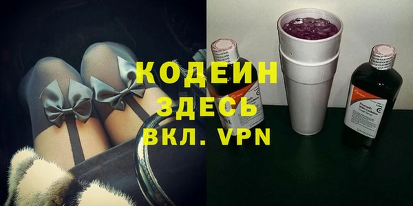 2c-b Ельня