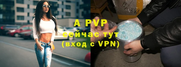 соль ск Елабуга