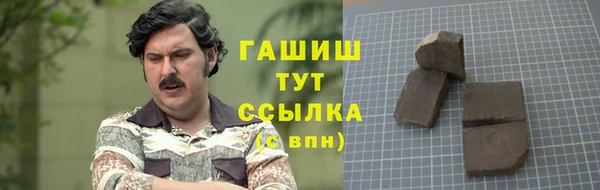 2c-b Ельня