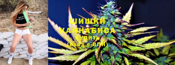 2c-b Ельня