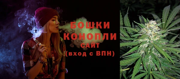 2c-b Ельня