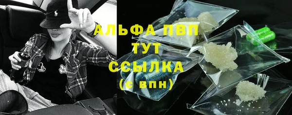эйфоретик Елизово